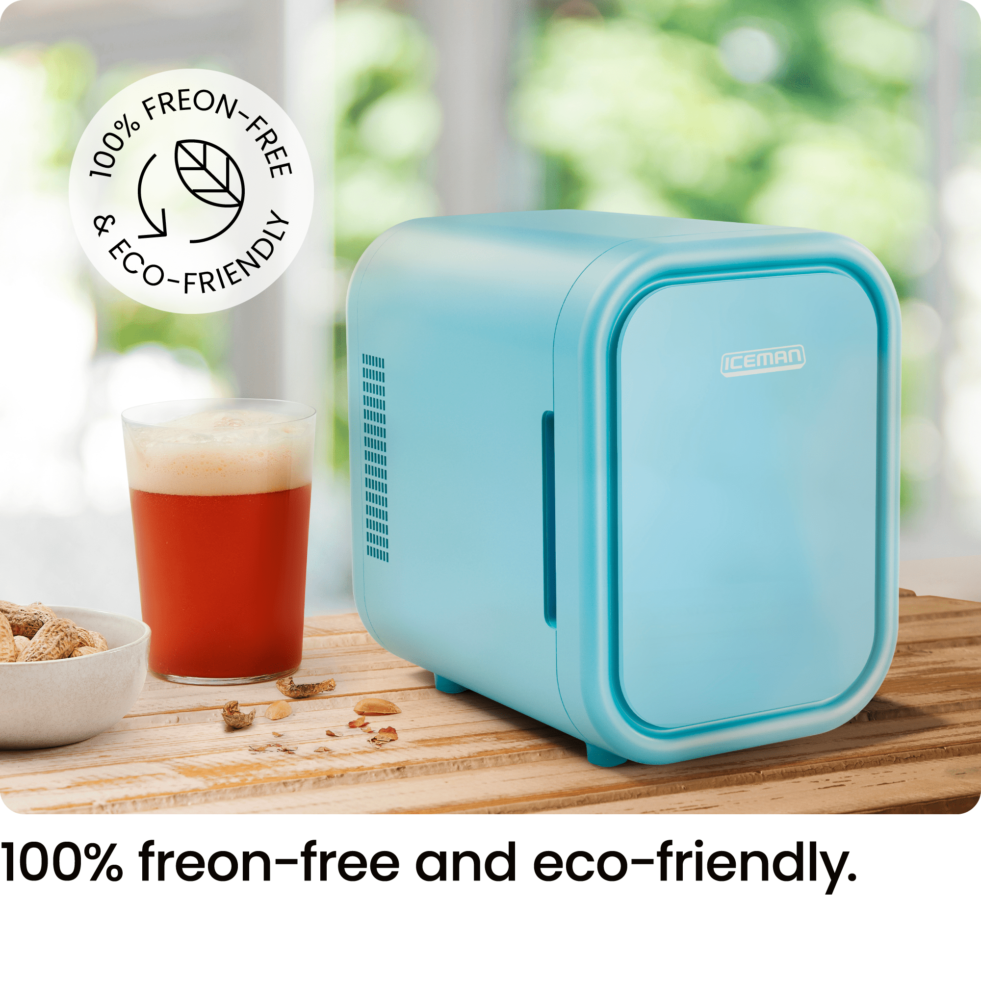 The Iceman Portable Mini Fridge 4L 6 Can Capacity