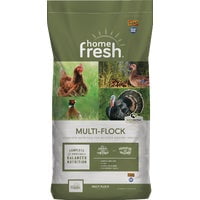 Kent Feeds Kent Home Fresh Multi-Flock Chick-N-Game Chicken Feed - Pack of 10