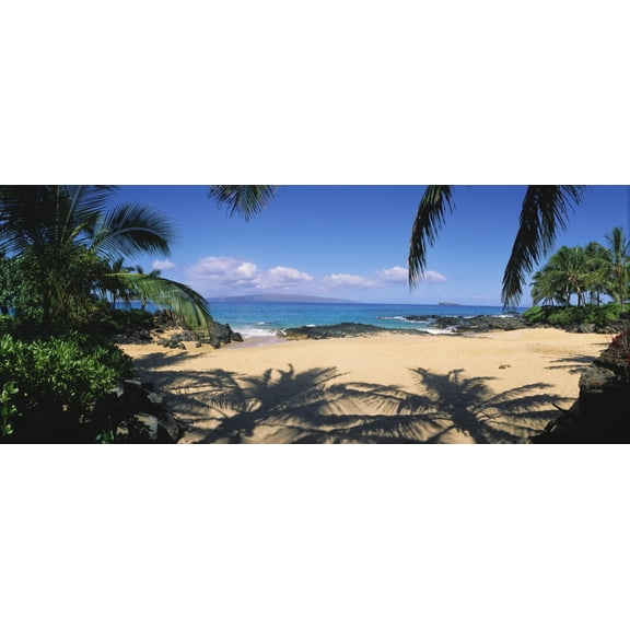 Hawaii Maui Makena Small Secluded Beach Palm Shadows On Sand Rocky Shore Canvas Art - Ron Dahlquist  Design Pics (24 x 9)