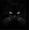 Canvas, variant on Art.com Black Cat Photographic Print by Lori Hutchison, 30" x 30"