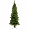 thumbnail image 1 of 7.5 ft. x 36 in. Salem Pencil Pine 275LED Mult, 1 of 1