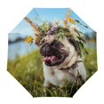 thumbnail image 1 of Dog Pet Lover Rain Umbrella Three Folding Durable Portable Manual Parasol ShopWise Round, 1 of 20