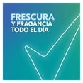 thumbnail image 4 of Antitranspirante Rexona xtra cool en barra para caballero 45 g, 4 of 4