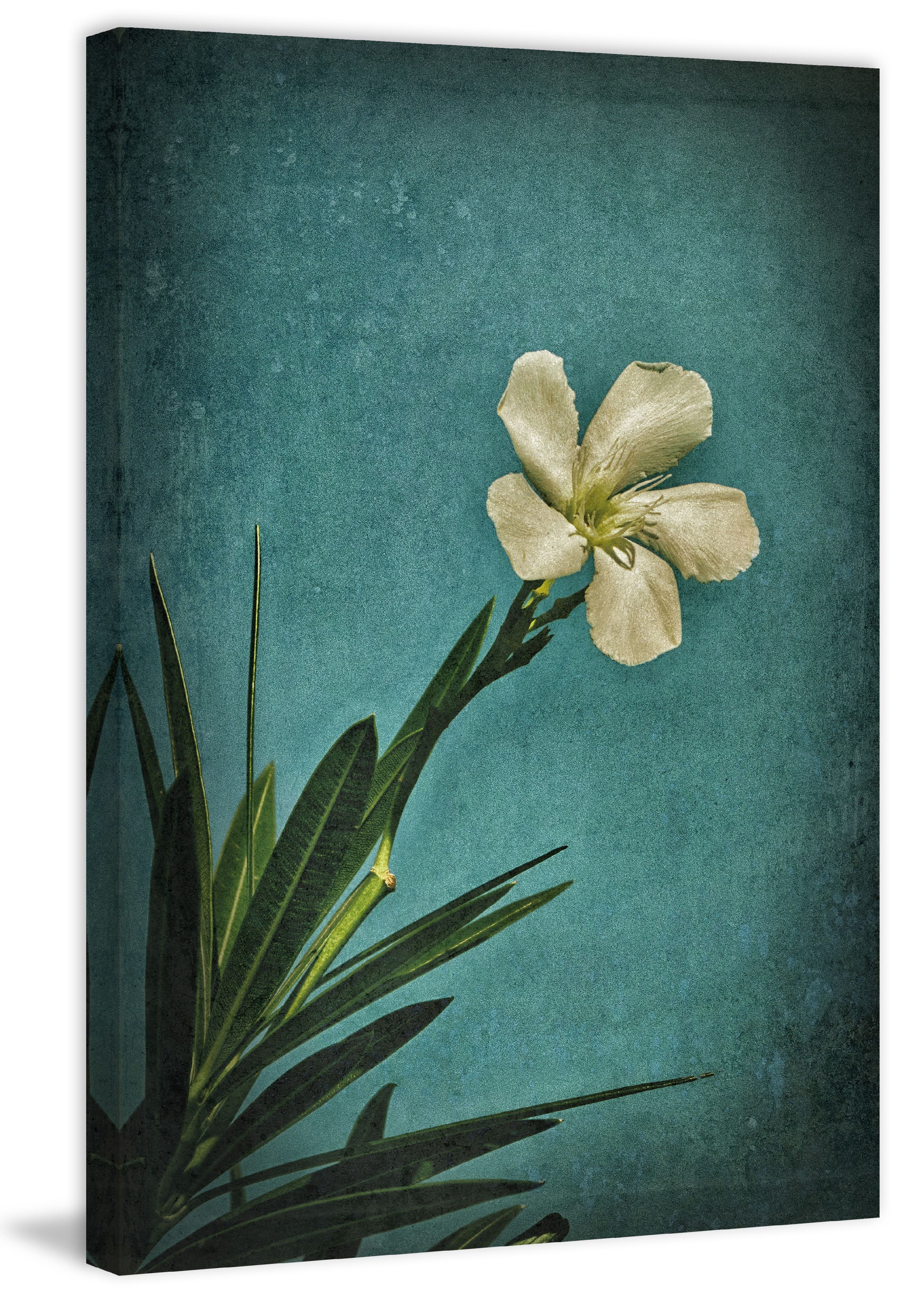 "White Flower Right" Painting Print on Wrapped Canvas