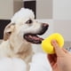 thumbnail image 3 of GOOHOCHY 5 esponjas exfoliantes para baño y ducha de mascotas., 3 of 8