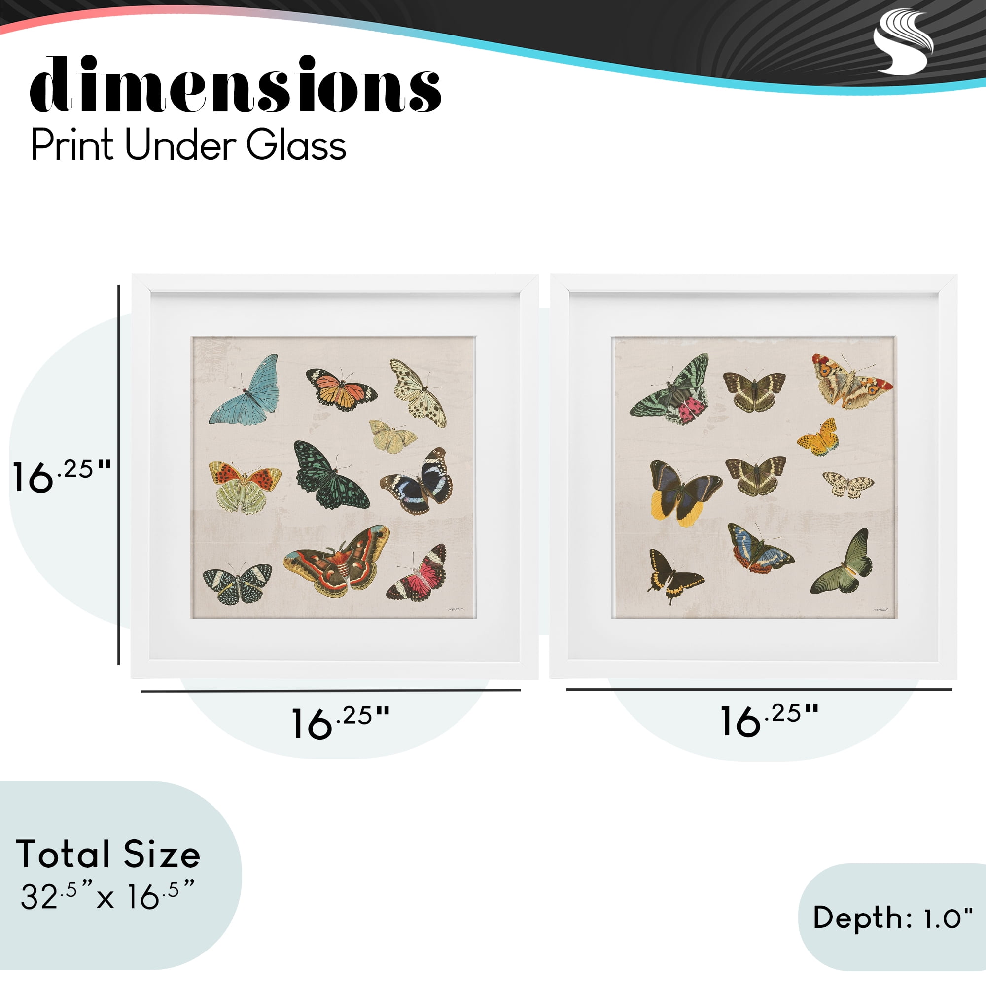 Stupell Industries Collection of Vintage Butterflies 2 Piece White Framed Print Under Glass Set, design by Dan Meneely