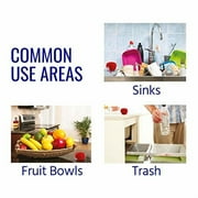 TERRO Apple-Shaped Indoor Fruit Fly Traps with Lure, Red, 2 Traps