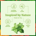 thumbnail image 2 of SVA Peppermint Piperita Essential Oil – 4 Fl Oz – 100% Natural Piperita Oil - for Diffuser, Hair Care, Face, Skin Care, Aromatherapy, Scalp and Body Massage, Soap and Candle Making - with Dropper, 2 of 5