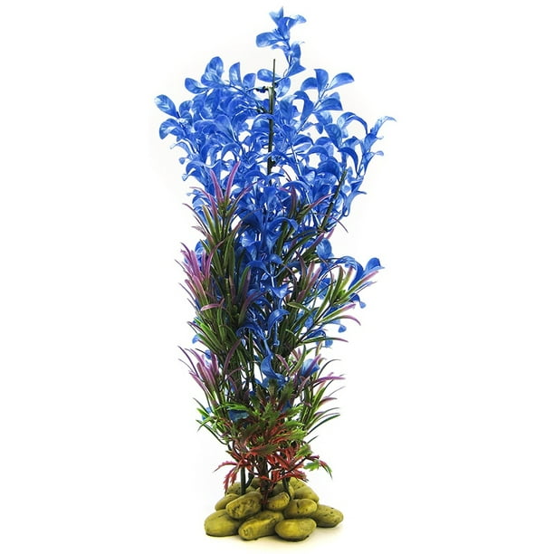 Resoneer autobiografie koppeling Aquatic Creations Hygrophilia Aquarium Plant - Blue 15\" High - Walmart.com