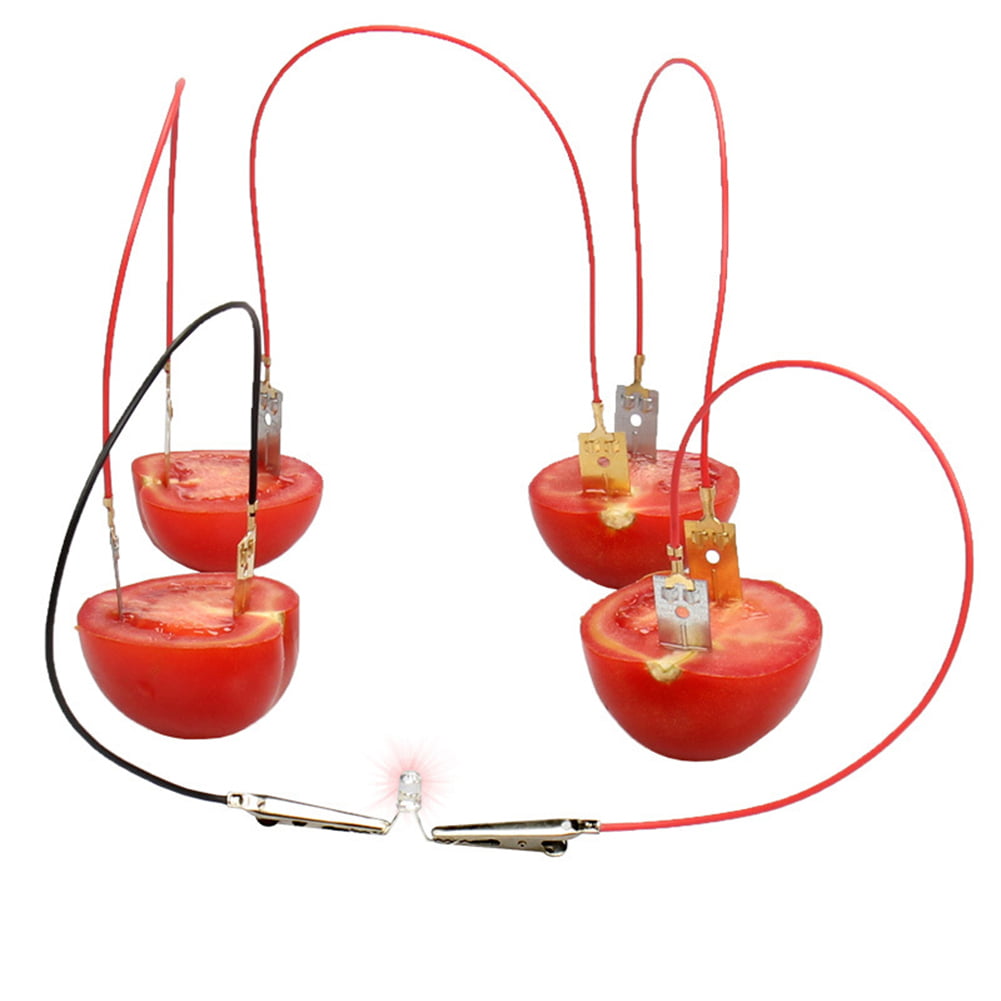 Fruit Battery Light Diode Generator Science Experiment Set Student Education Toy 