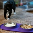 thumbnail image 4 of Messy Mutts - Cat Silicone Feeder, 4 of 6
