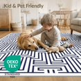 thumbnail image 4 of ODIKA 4'x6' Washable Area Rug Abstract Maze Design With Modern Minimalist Symmetry Geometric Flowing Dynamic for Bedroom, Reading Nook, Pet Friendly & Non-Shedding, 4 of 7