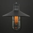 thumbnail image 2 of SUNLITE 07005-SU E26 Canopy Cage Oil Black Pendant Light Fixture, 2 of 3
