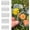A, variant on New 20Pcs Large Size DIY Transparent Dried Flower Bookmarks with 20Pcs Pressed Flowers, World in Bottle-Making Stunning Herbarium, Beautiful Flower Bookmarks, Gifts for Book Lovers (D)