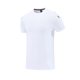thumbnail image 3 of Ceisia Men's Loose Fit Short Sleeve Crew Neck Tee Gradient Stripe Print Ice-Silk Mesh Casual Sports Top White XXL Gifts, 3 of 6