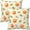 Saint Patrick Day1, variant on Saint Patrick Day Throw Pillow Covers Set of 2 Soft Pillow Case Protectors with Zipper Standard Size Pillow Covers Pillowcase Square for Bed, Sofa, Living Room, Outdoor (16"x16")