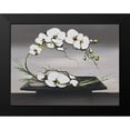 thumbnail image 2 of Tramoni, Oliver 18x15 Black Modern Framed Museum Art Print Titled - Bonheur dorchideÂ´es blanches I, 2 of 5