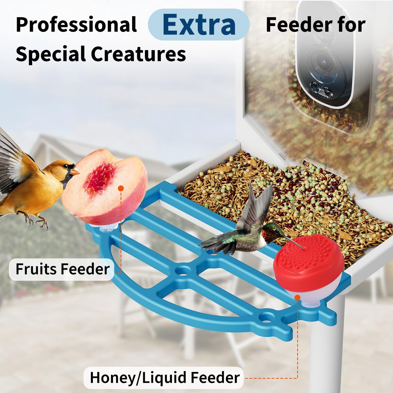 Solar Smart 4K Bird Feeder with AI Recognition - 2L Capacity with Night Vision & Auto Photo/Video Capture, Squirrel Deterrent & App Alerts for Bird Watching, Blue