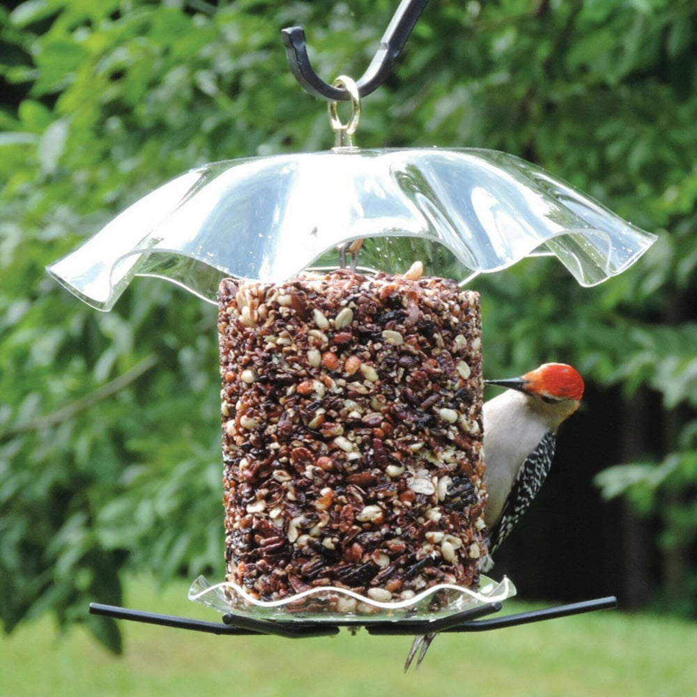 Birds Choice Seed Cylinder Feeder