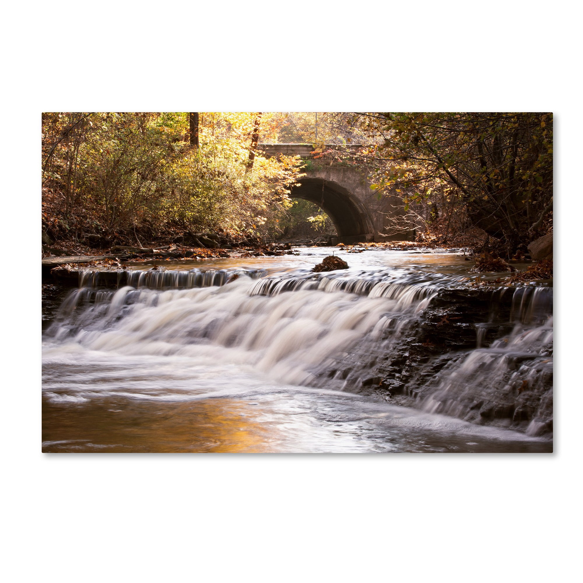 Trademark Fine Art "Avon Falls" Canvas Art by Jason Shaffer