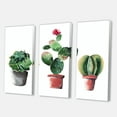 thumbnail image 3 of Designart ' Three Cacti In Clay Pots On White ' Traditional Canvas Wall Art Print, 3 of 3