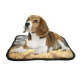 thumbnail image 2 of PKQWTM Field With Gold Barley And Road In Sunset Pet Dog Cat Bed Pee Pads Mat Cushion Potty Dogs Blankets Crate Bed Kennel 36x48 inch, 2 of 3