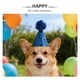 thumbnail image 3 of FELTECHELECTR 7Ud Gorras De Fiesta Con Brillo Y Pompones Para De Cumpleaños Y, 3 of 6
