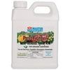 Summit Responsible-Mn-Pest Fighter Year-round Spray Oil Concentrate Quart