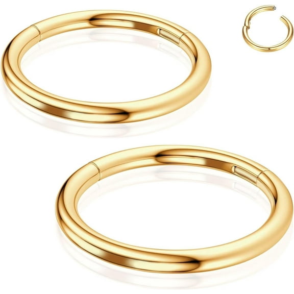 Titanium Nose Rings Hoops: 2Pcs 20G 18G 16G Septum Clicker Cartilage Helix Daith Earring 6mm 8mm 10mm Conch Piercing Jewelry Black Silver Gold