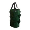 thumbnail image 1 of Plante Suspendue de 3 Gallons, Fraisier, Aération pour Vert, 1 of 8