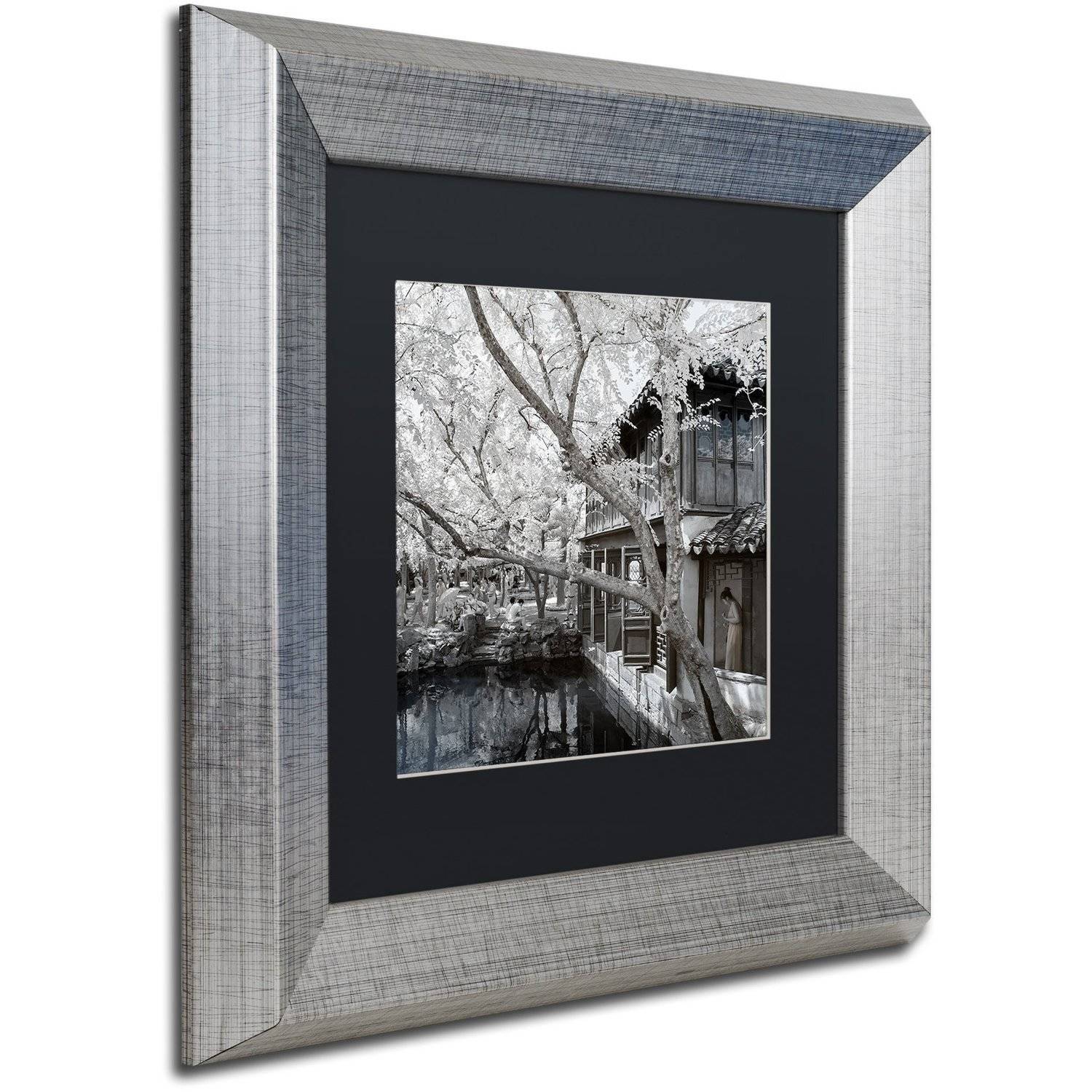 Trademark Fine Art "Reflections" Canvas Art by Philippe Hugonnard, Black Matte, Silver Frame