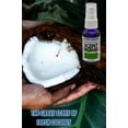 thumbnail image 3 of Scent Bomb Coconut Paradise Air Freshener Spray, 1 fl.oz., 4 Count Pack, 3 of 5