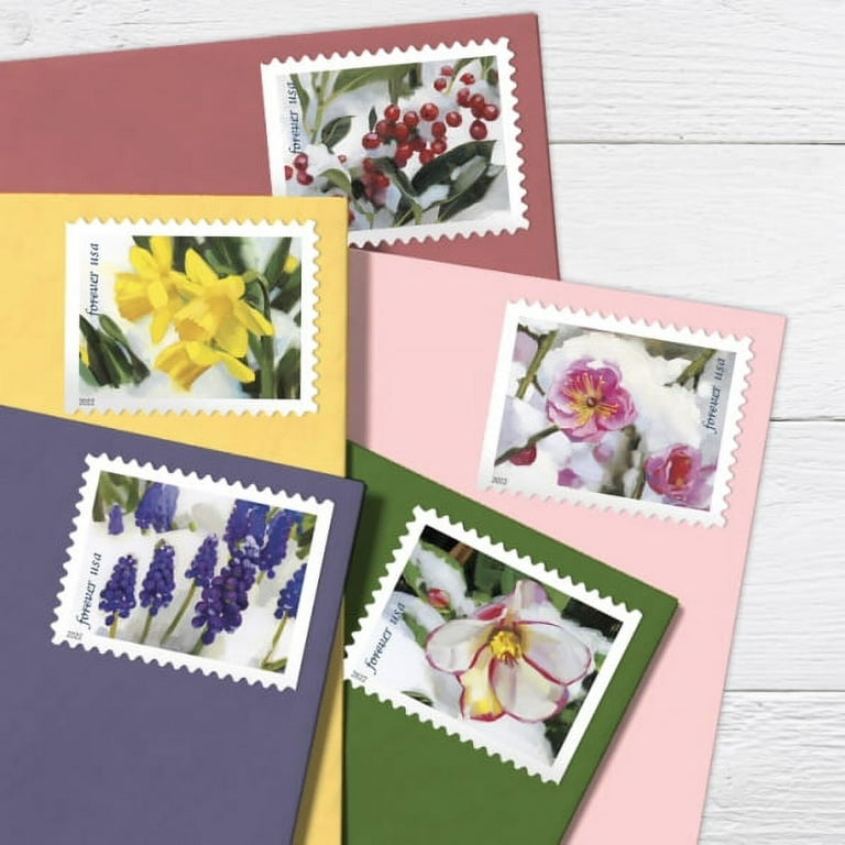  Tcllka 5 Books of 20 Forever USPS Postage Stamp Wedding  Engagement Celebration Love L8 : Arts, Crafts & Sewing