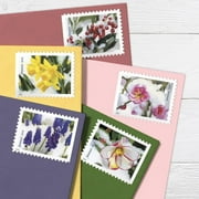 Snowy Beauty USPS Forever Postage Stamp 1 Book of 20 US First Class Postal Holiday Snow Flower Winter Wedding Celebration Christmas Tradition (20 Stamps)