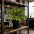 thumbnail image 5 of Artificial Fake Plants Greenery for Home Decor | Lifelike Plastic Foliage for Indoor and Outdoor Decoration | No Maintenance Artificial Shrubs for Living Room Office Shelf Garden | Set of 1, 5 of 6