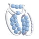 thumbnail image 2 of Rodillo de masaje de 20 ruedas para fascia y relajación muscular. Rodillo de espuma para relajación muscular. Azul, 2 of 9