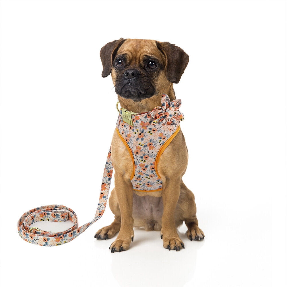 Pet Artist 3pcs Floral Nylon Dog Harness Vest and Leash and Collar set Custom Personalized for Pets