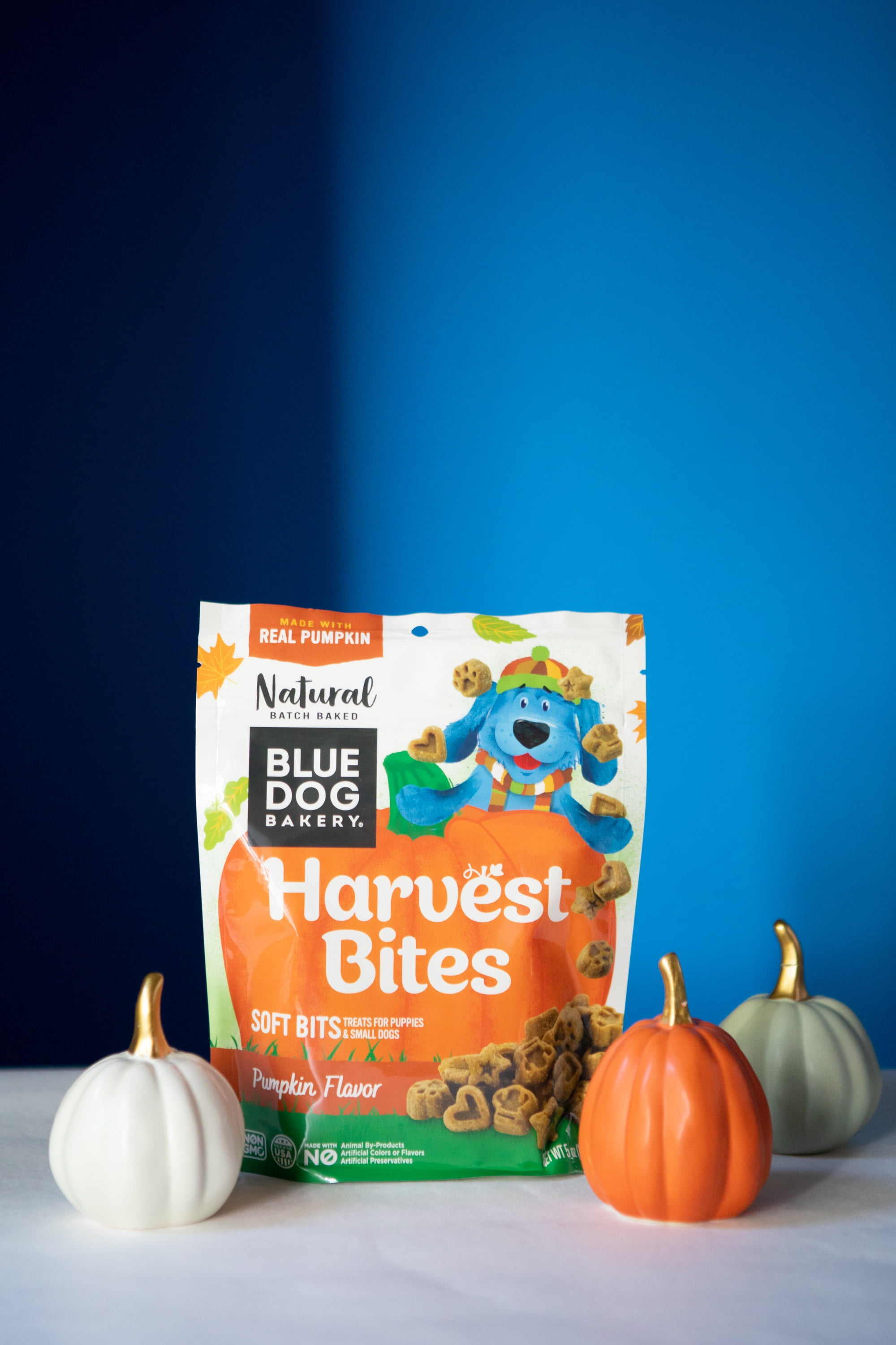 Blue Dog Bakery Harvest Bites Pumpkin Flavor 5 Ounces