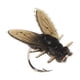 thumbnail image 1 of Fly Fishing Bait 30PCS 2024 New Fly Hook Soft Bait Add Fish Attractant Fishing Gear, 1 of 2