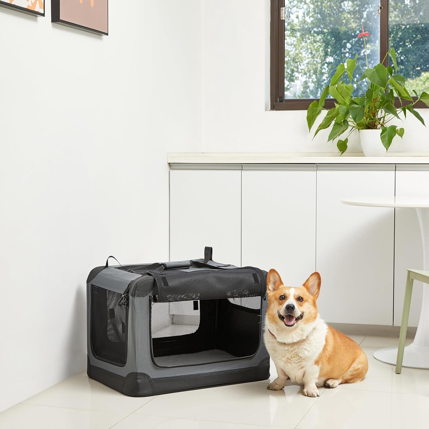 Portable Folding Soft Dog Crate, 4-, Collapsible Travel Kennel for , Dog, and Small Animals, Quick Setup, Small 26" x 18" x 18",