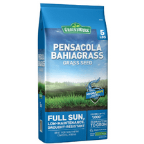GroundWork 266AX0002UC-5 Pensacola Bahiagrass Grass Seed, 5 lb.