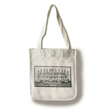 Brooklyn Dodgers Photo - Brooklyn Dodgers - Team Photograph - Baseball Card (100% Cotton Tote Bag - Reusable)