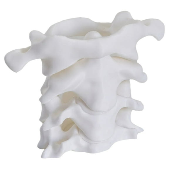 Yttmshdga Clearance! Spine Pen Holder For Desk Pencil Holder Desk Organizers Decorations Idea For Doctors