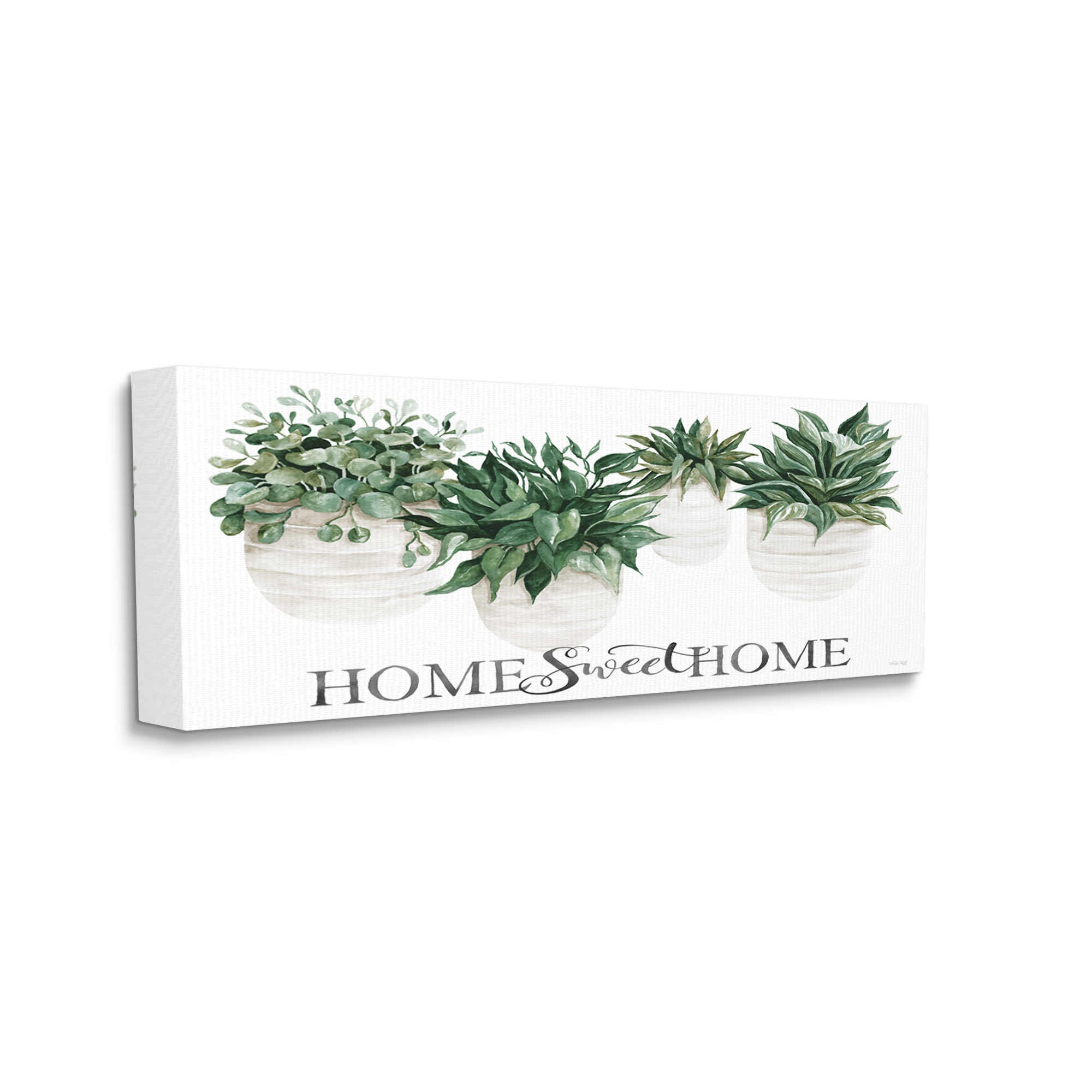 Stupell Industries Sweet Home Lush Succulents House Plants Sign Graphic Art Gallery Wrapped Canvas Print Wall Art, Design by Cindy Jacobs