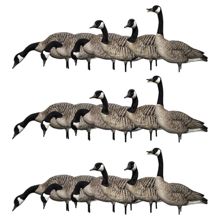 Avian X AXP Honkers Full Body Realistic Paint Canada Goose Decoys 18 Pack