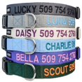 thumbnail image 2 of Collar para perro GoTags personalizado bordado y ajustable de nailon, 2 of 9