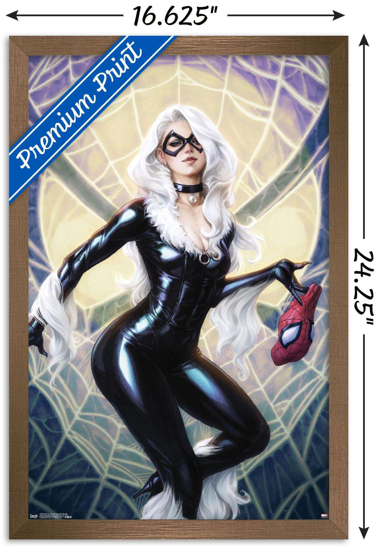 Marvel Comics - Black Cat - The Amazing Spider-Man Cover #25 Wall Poster, 14.725" x 22.375", Framed