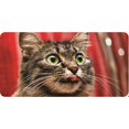 thumbnail image 1 of Cat With Green Eyes Photo License Plate, 1 of 1