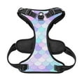 thumbnail image 5 of Bingfone Rainbow Scales No Pull Dog Vest Harness For Small Medium Large Dogs Strap For Puppy Walking,Training,Dog Harness-Small, 5 of 9
