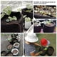 thumbnail image 3 of Black Plants Growing Bag Vegetable Flower Aeration Planting Pot Container (5 Gallon 25 x 30cm), 3 of 5